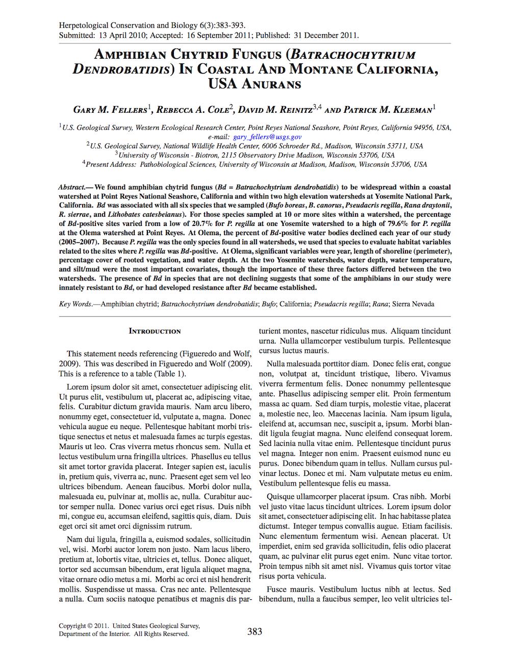 Latex Template New Concept